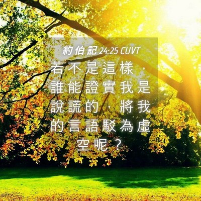 Picture 04 - 約 伯 記 24:25 CUVT - 若 不 是 這 樣 ， 誰 能 證 實 我 是 - Bible Verse Picture