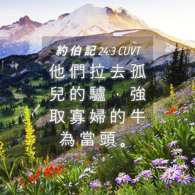 Picture 04 - 約 伯 記 24:3 CUVT - 他 們 拉 去 孤 兒 的 驢 ， 強 取 寡 - Bible Verse Picture