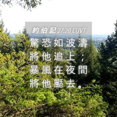 Picture 04 - 約 伯 記 27:20 CUVT - 驚 恐 如 波 濤 將 他 追 上 ； 暴 風 - Bible Verse Picture