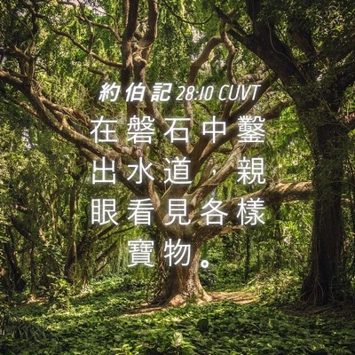 Picture 04 - 約 伯 記 28:10 CUVT - 在 磐 石 中 鑿 出 水 道 ， 親 眼 看 - Bible Verse Picture