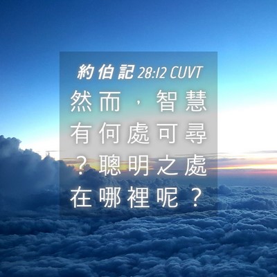 Picture 04 - 約 伯 記 28:12 CUVT - 然 而 ， 智 慧 有 何 處 可 尋 ？ 聰 - Bible Verse Picture