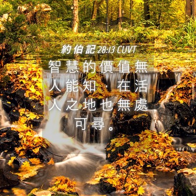 Picture 04 - 約 伯 記 28:13 CUVT - 智 慧 的 價 值 無 人 能 知 ， 在 活 - Bible Verse Picture