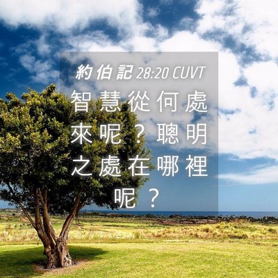 Picture 04 - 約 伯 記 28:20 CUVT - 智 慧 從 何 處 來 呢 ？ 聰 明 之 處 - Bible Verse Picture