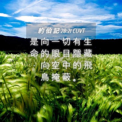 Picture 04 - 約 伯 記 28:21 CUVT - 是 向 一 切 有 生 命 的 眼 目 隱 藏 - Bible Verse Picture