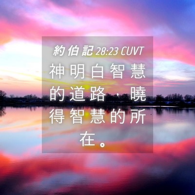 Picture 04 - 約 伯 記 28:23 CUVT - 神 明 白 智 慧 的 道 路 ， 曉 得 智 - Bible Verse Picture