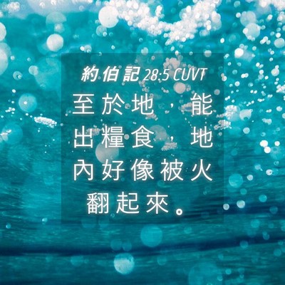 Picture 04 - 約 伯 記 28:5 CUVT - 至 於 地 ， 能 出 糧 食 ， 地 內 好 - Bible Verse Picture