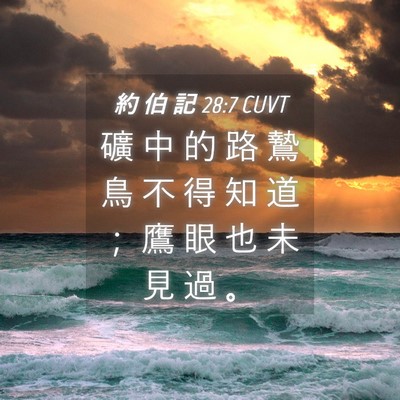Picture 04 - 約 伯 記 28:7 CUVT - 礦 中 的 路 鷙 鳥 不 得 知 道 ； 鷹 - Bible Verse Picture