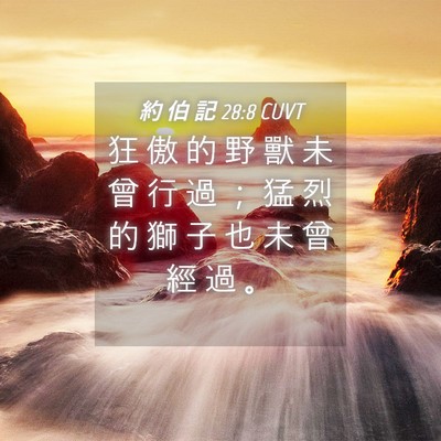 Picture 04 - 約 伯 記 28:8 CUVT - 狂 傲 的 野 獸 未 曾 行 過 ； 猛 烈 - Bible Verse Picture