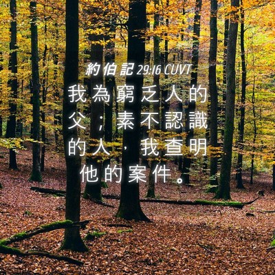 Picture 04 - 約 伯 記 29:16 CUVT - 我 為 窮 乏 人 的 父 ； 素 不 認 識 - Bible Verse Picture