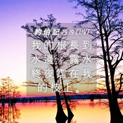 Picture 04 - 約 伯 記 29:19 CUVT - 我 的 根 長 到 水 邊 ； 露 水 終 夜 - Bible Verse Picture