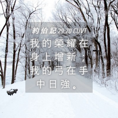Picture 04 - 約 伯 記 29:20 CUVT - 我 的 榮 耀 在 身 上 增 新 ； 我 的 - Bible Verse Picture