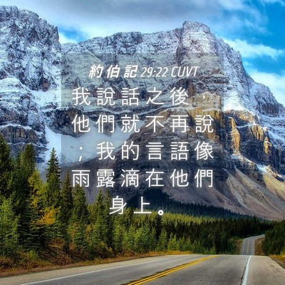 Picture 04 - 約 伯 記 29:22 CUVT - 我 說 話 之 後 ， 他 們 就 不 再 說 - Bible Verse Picture