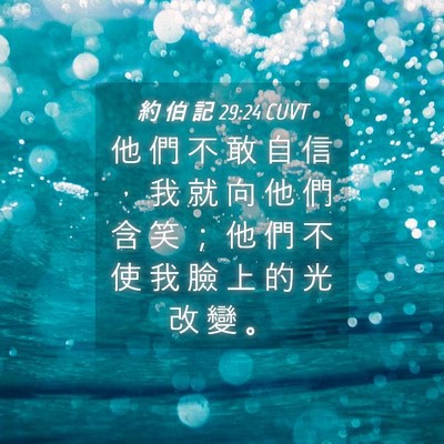 Picture 04 - 約 伯 記 29:24 CUVT - 他 們 不 敢 自 信 ， 我 就 向 他 們 - Bible Verse Picture