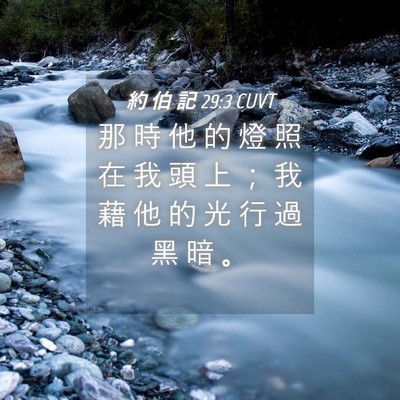 Picture 04 - 約 伯 記 29:3 CUVT - 那 時 他 的 燈 照 在 我 頭 上 ； 我 - Bible Verse Picture