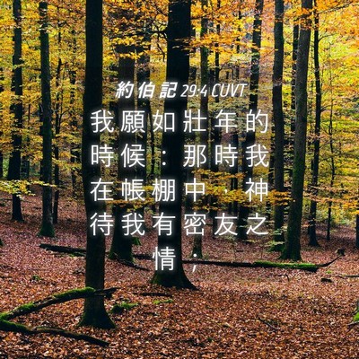 Picture 04 - 約 伯 記 29:4 CUVT - 我 願 如 壯 年 的 時 候 ： 那 時 我 - Bible Verse Picture