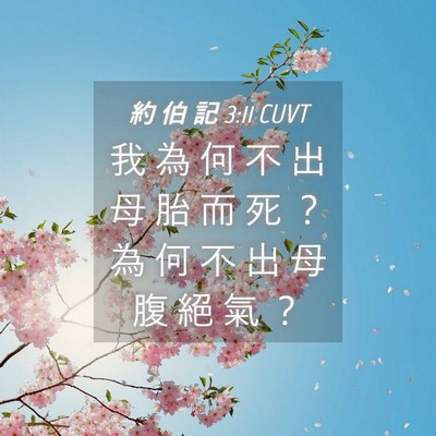 Picture 04 - 約 伯 記 3:11 CUVT - 我 為 何 不 出 母 胎 而 死 ？ 為 何 - Bible Verse Picture