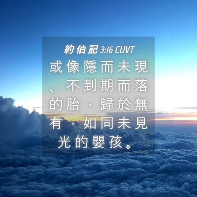Picture 04 - 約 伯 記 3:16 CUVT - 或 像 隱 而 未 現 、 不 到 期 而 落 - Bible Verse Picture