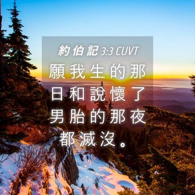 Picture 04 - 約 伯 記 3:3 CUVT - 願 我 生 的 那 日 和 說 懷 了 男 胎 - Bible Verse Picture
