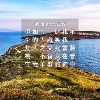 Picture 04 - 約 伯 記 30:1 CUVT - 但 如 今 ， 比 我 年 少 的 人 戲 笑 - Bible Verse Picture