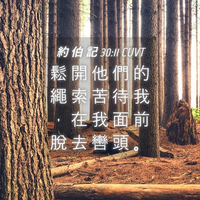 Picture 04 - 約 伯 記 30:11 CUVT - 鬆 開 他 們 的 繩 索 苦 待 我 ， 在 - Bible Verse Picture