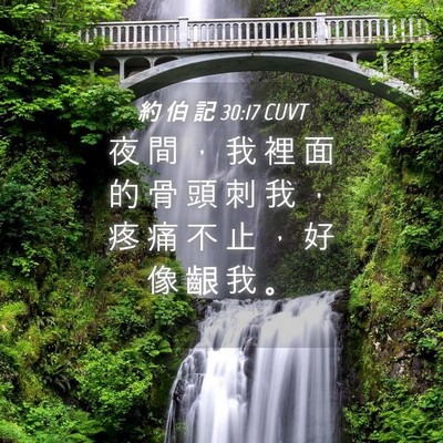 Picture 04 - 約 伯 記 30:17 CUVT - 夜 間 ， 我 裡 面 的 骨 頭 刺 我 ， - Bible Verse Picture