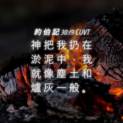 Picture 04 - 約 伯 記 30:19 CUVT - 神 把 我 扔 在 淤 泥 中 ， 我 就 像 - Bible Verse Picture