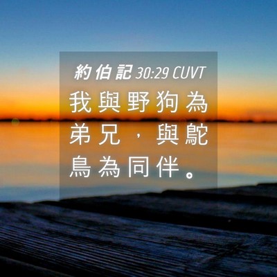 Picture 04 - 約 伯 記 30:29 CUVT - 我 與 野 狗 為 弟 兄 ， 與 鴕 鳥 為 - Bible Verse Picture