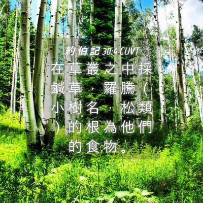 Picture 04 - 約 伯 記 30:4 CUVT - 在 草 叢 之 中 採 鹹 草 ， 羅 騰 （ - Bible Verse Picture