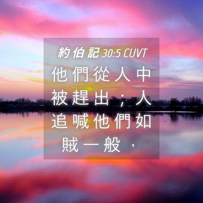 Picture 04 - 約 伯 記 30:5 CUVT - 他 們 從 人 中 被 趕 出 ； 人 追 喊 - Bible Verse Picture