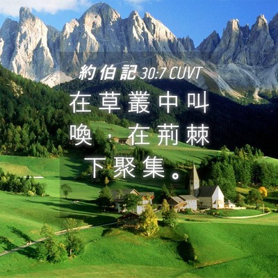 Picture 04 - 約 伯 記 30:7 CUVT - 在 草 叢 中 叫 喚 ， 在 荊 棘 下 聚 - Bible Verse Picture