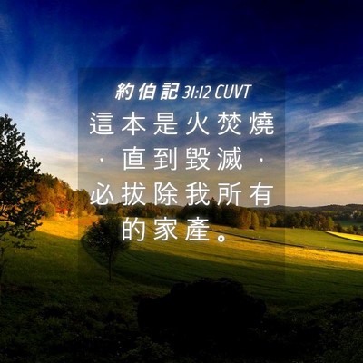 Picture 04 - 約 伯 記 31:12 CUVT - 這 本 是 火 焚 燒 ， 直 到 毀 滅 ， - Bible Verse Picture