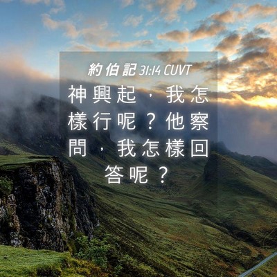 Picture 04 - 約 伯 記 31:14 CUVT - 神 興 起 ， 我 怎 樣 行 呢 ？ 他 察 - Bible Verse Picture