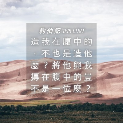 Picture 04 - 約 伯 記 31:15 CUVT - 造 我 在 腹 中 的 ， 不 也 是 造 他 - Bible Verse Picture