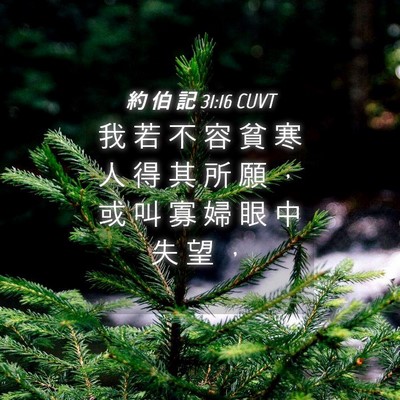 Picture 04 - 約 伯 記 31:16 CUVT - 我 若 不 容 貧 寒 人 得 其 所 願 ， - Bible Verse Picture