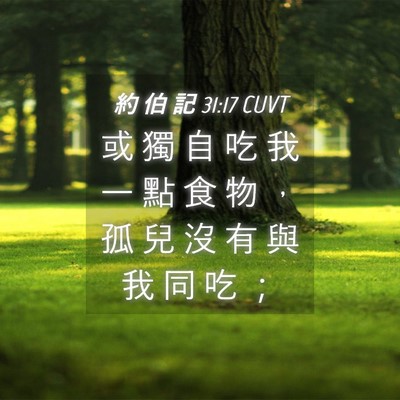 Picture 04 - 約 伯 記 31:17 CUVT - 或 獨 自 吃 我 一 點 食 物 ， 孤 兒 - Bible Verse Picture