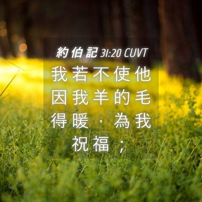 Picture 04 - 約 伯 記 31:20 CUVT - 我 若 不 使 他 因 我 羊 的 毛 得 暖 - Bible Verse Picture