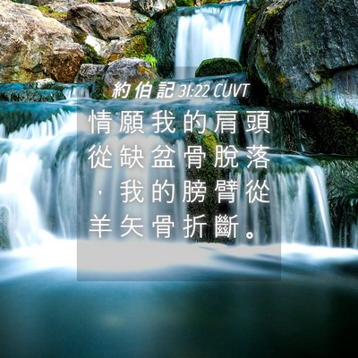 Picture 04 - 約 伯 記 31:22 CUVT - 情 願 我 的 肩 頭 從 缺 盆 骨 脫 落 - Bible Verse Picture