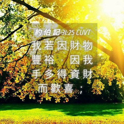 Picture 04 - 約 伯 記 31:25 CUVT - 我 若 因 財 物 豐 裕 ， 因 我 手 多 - Bible Verse Picture