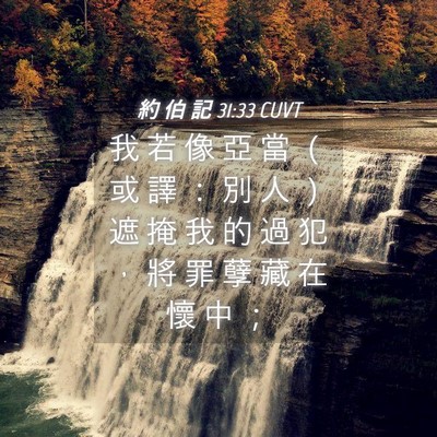Picture 04 - 約 伯 記 31:33 CUVT - 我 若 像 亞 當 （ 或 譯 ： 別 人 ） - Bible Verse Picture