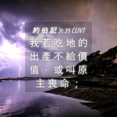 Picture 04 - 約 伯 記 31:39 CUVT - 我 若 吃 地 的 出 產 不 給 價 值 ， - Bible Verse Picture