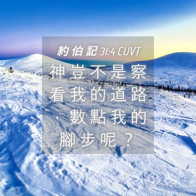 Picture 04 - 約 伯 記 31:4 CUVT - 神 豈 不 是 察 看 我 的 道 路 ， 數 - Bible Verse Picture