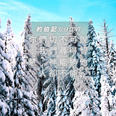 Picture 04 - 約 伯 記 32:13 CUVT - 你 們 切 不 可 說 ： 我 們 尋 得 智 - Bible Verse Picture