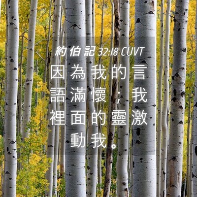 Picture 04 - 約 伯 記 32:18 CUVT - 因 為 我 的 言 語 滿 懷 ； 我 裡 面 - Bible Verse Picture