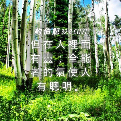Picture 04 - 約 伯 記 32:8 CUVT - 但 在 人 裡 面 有 靈 ； 全 能 者 的 - Bible Verse Picture