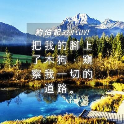 Picture 04 - 約 伯 記 33:11 CUVT - 把 我 的 腳 上 了 木 狗 ， 窺 察 我 - Bible Verse Picture