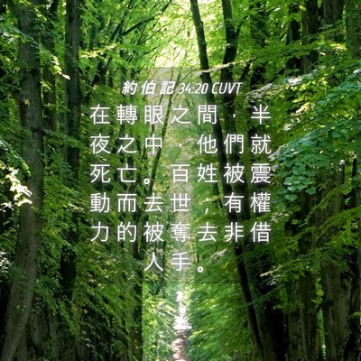 Picture 04 - 約 伯 記 34:20 CUVT - 在 轉 眼 之 間 ， 半 夜 之 中 ， 他 - Bible Verse Picture