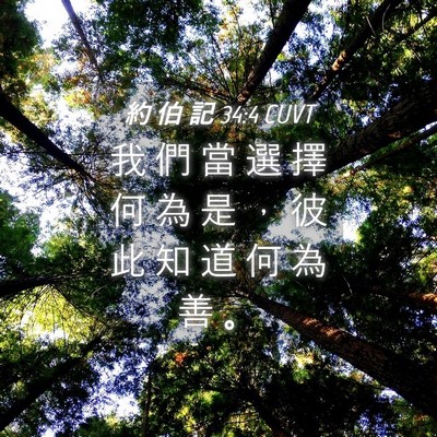 Picture 04 - 約 伯 記 34:4 CUVT - 我 們 當 選 擇 何 為 是 ， 彼 此 知 - Bible Verse Picture