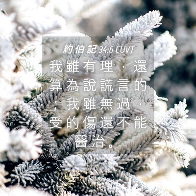 Picture 04 - 約 伯 記 34:6 CUVT - 我 雖 有 理 ， 還 算 為 說 謊 言 的 - Bible Verse Picture