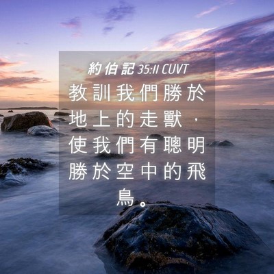 Picture 04 - 約 伯 記 35:11 CUVT - 教 訓 我 們 勝 於 地 上 的 走 獸 ， - Bible Verse Picture