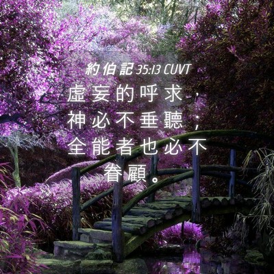 Picture 04 - 約 伯 記 35:13 CUVT - 虛 妄 的 呼 求 ， 神 必 不 垂 聽 ； - Bible Verse Picture